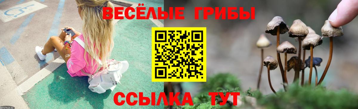 Галлюциногенные грибы Cubensis  Вход с VPN  Ачхой-Мартан 